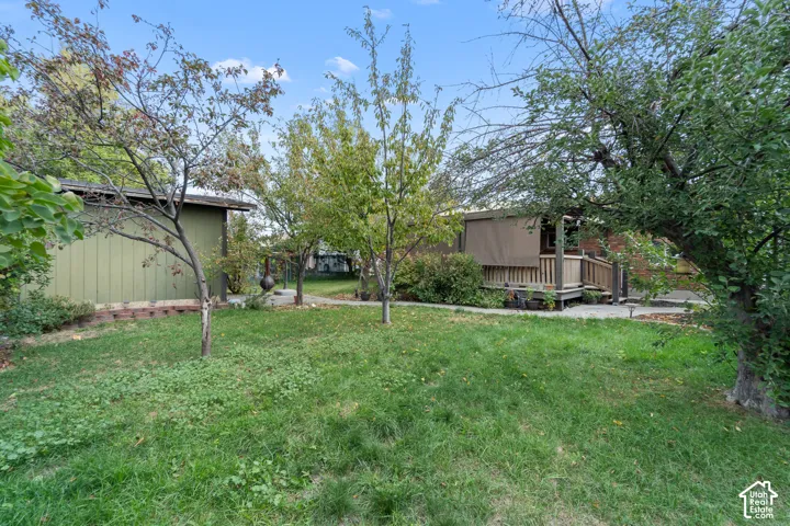 Backyard featuring mature trees, grass lawn, concrete hardscaping, detached structure, and a raised wooden deck with railings