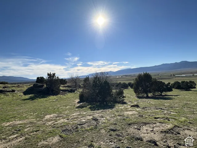 Expansive lot featuring native grasses, mature juniper trees, rock outcroppings, and mountain scenery