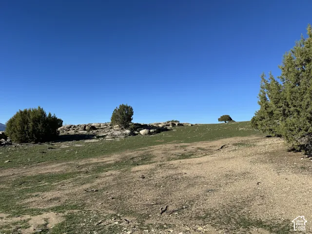 Expansive acreage featuring natural rock outcroppings, mature juniper trees, and native ground cover