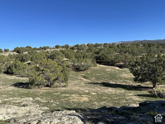 Expansive terrain featuring native vegetation, mature juniper trees, and natural rock outcroppings