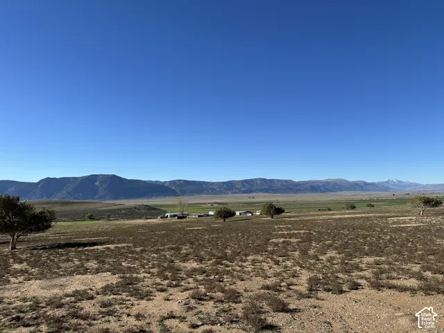 Expansive acreage featuring native vegetation, scattered mature trees, and prominent mountain backdrops