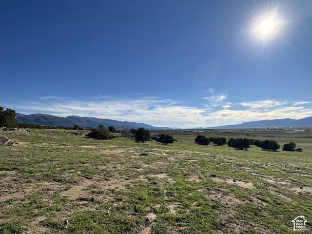 Expansive acreage featuring native grasses, scattered mature trees, and mountainous terrain