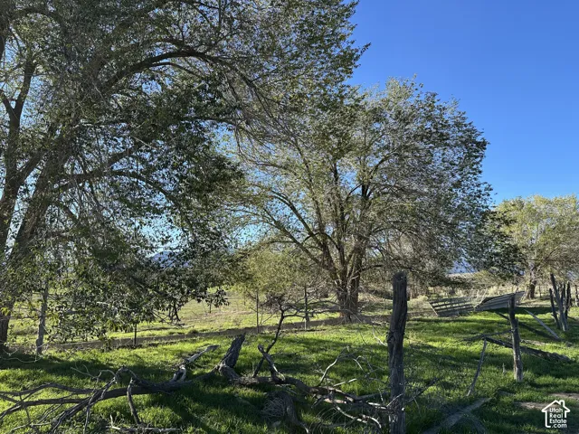 Expansive grounds featuring mature trees, natural terrain, and wooden post-and-rail fencing