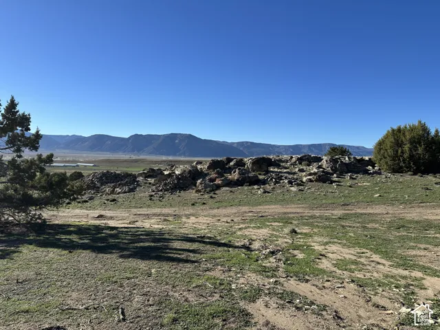 Expansive lot featuring native terrain, rock outcroppings, mature evergreen trees, and a mountain backdrop