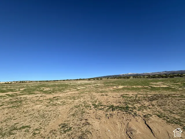 Expansive natural terrain featuring native vegetation and snow-capped mountain backdrop