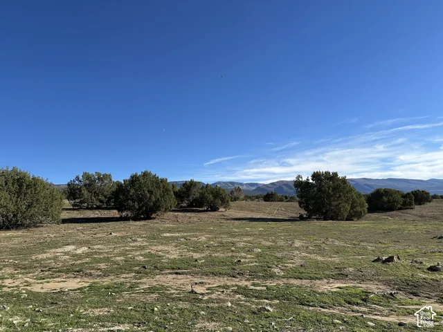 Expansive acreage featuring native desert vegetation, scattered mature juniper trees, and prominent mountain backdrops