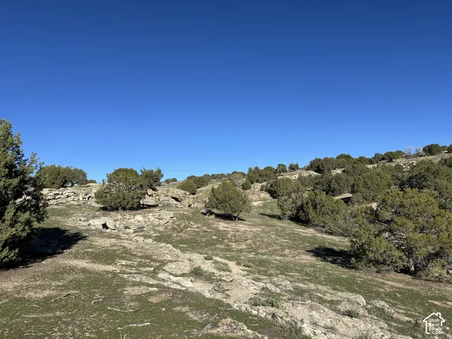 Sloped natural landscape featuring native grasses, mature juniper trees, and exposed rock outcroppings