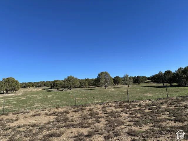 Expansive parcel featuring mature trees, native vegetation, and perimeter wire fencing