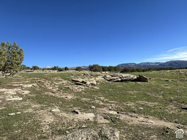 Expansive acreage featuring natural rock outcroppings, native grasses, scattered mature trees, and a mountain range backdrop