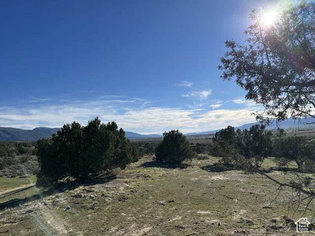 Expansive acreage featuring native shrubs, mature trees, and mountainous terrain