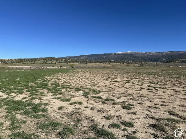 Expansive open land featuring natural vegetation and panoramic mountain terrain