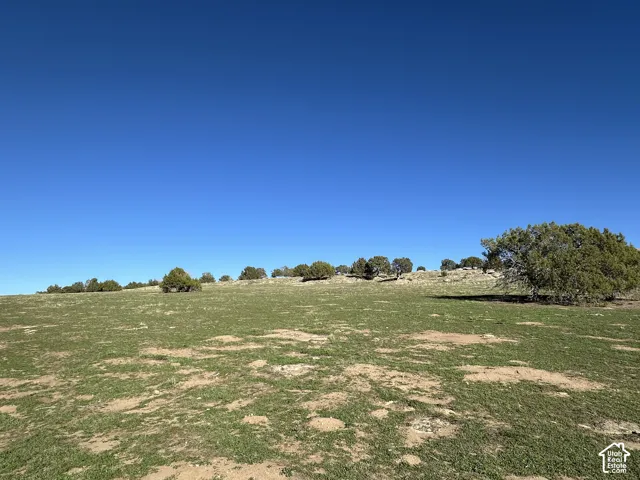Expansive lot featuring native grasses and mature juniper trees