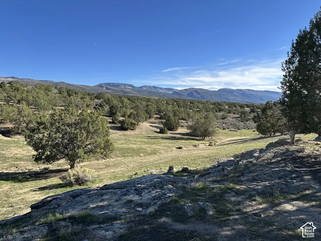 Expansive natural landscape featuring rolling topography, mature juniper trees, rock outcroppings, and prominent mountain terrain