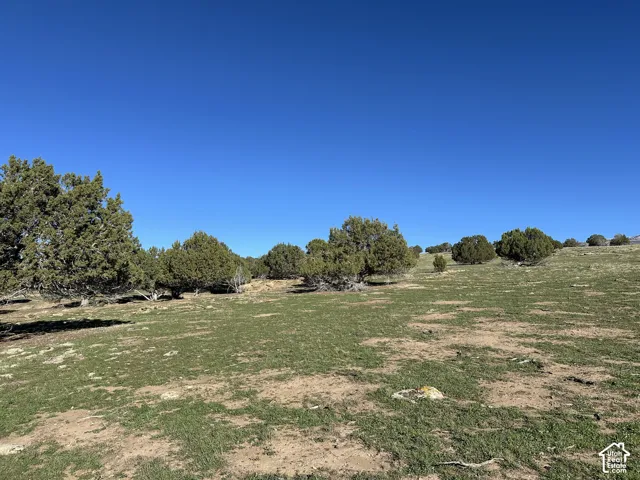 Expansive natural landscape featuring rolling topography, indigenous juniper trees, and native vegetation