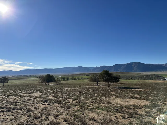 Expansive land parcel featuring open terrain, mature trees, and a prominent mountain backdrop