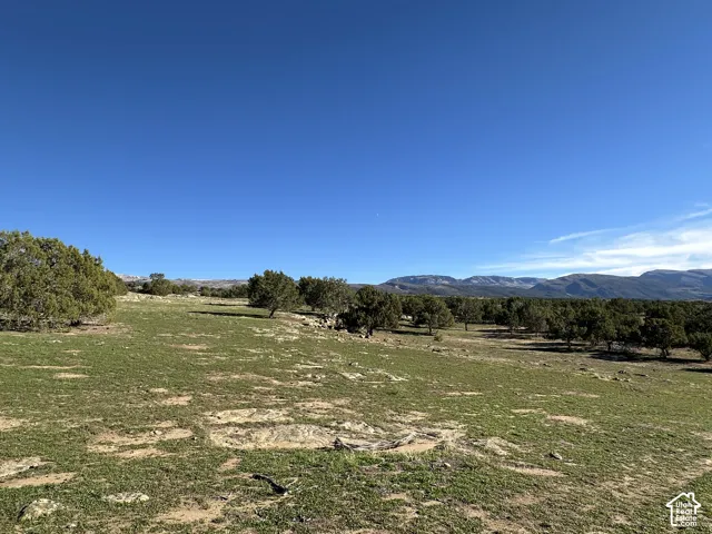 Expansive natural acreage featuring native grasses, mature juniper trees, and a mountain range backdrop