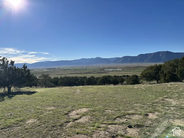 Expansive land parcel featuring native vegetation, scattered mature trees, and panoramic mountain backdrop