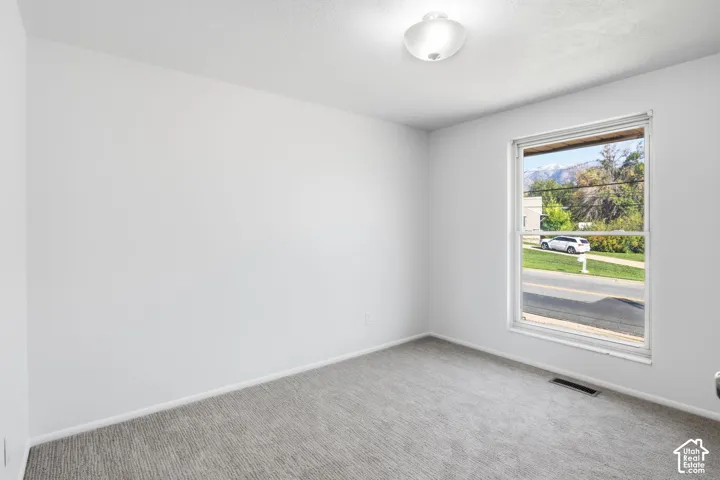 Neutral-toned wall-to-wall carpeting, crisp white walls, flush-mount ceiling lighting, and a window with mountain scenery