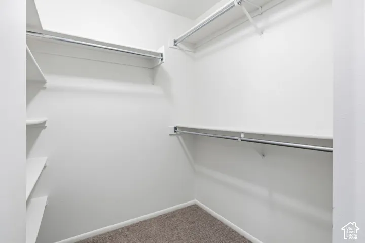 Walk-in closet featuring multi-level hanging rods, built-in shelving, and carpeted flooring