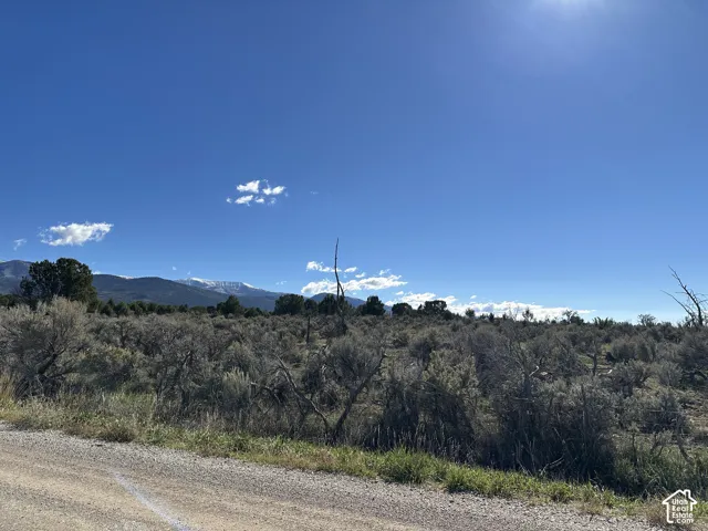 Expansive lot featuring native desert vegetation and mountain backdrop