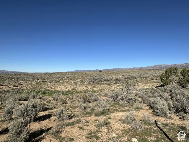 Expansive desert landscape featuring native brush, natural terrain, and prominent mountain backdrops