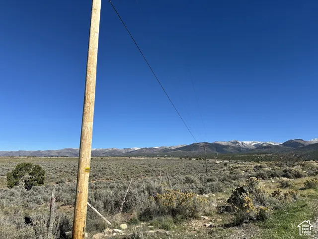 Open landscape featuring native brush, scattered shrubs, and a mountain range backdrop with snow-capped peaks