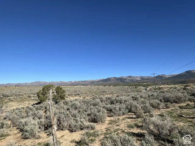Expansive lot featuring native desert vegetation and mountain backdrop
