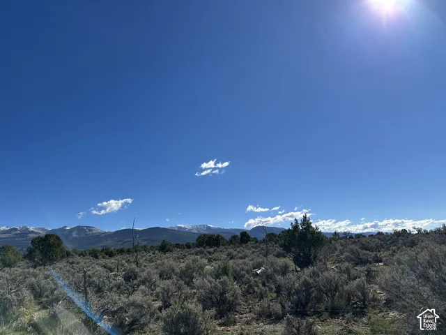Expansive acreage featuring native sagebrush, scattered juniper trees, and a mountain range backdrop