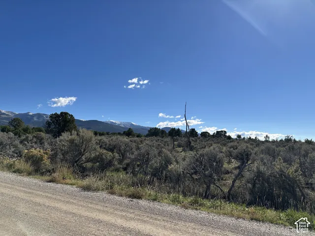 Expansive land parcel featuring native desert flora, rugged terrain, and mountain range backdrop