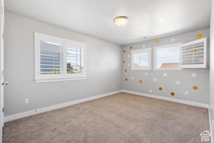Neutral interior featuring wall-to-wall carpeting, multiple windows with white plantation shutters, and a central ceiling-mounted light fixture