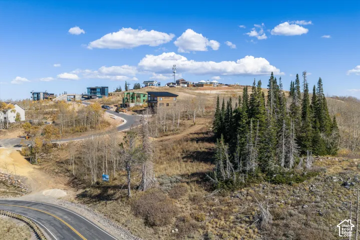Elevated homesite featuring varied topography, mature evergreen trees, and direct paved road access in a high-altitude mountain setting