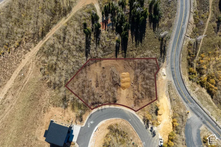 Vacant land parcel featuring mature trees, native vegetation, and direct access to a paved cul-de-sac