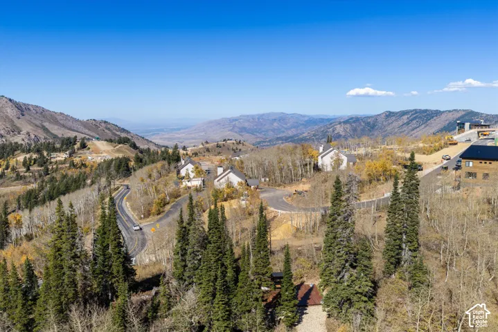Aerial perspective featuring mountainous topography, alpine terrain, mature coniferous trees, deciduous forest, and paved roadway access