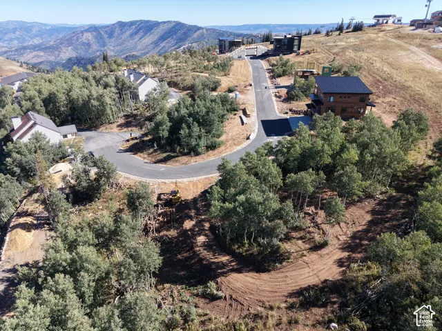 Mountainous landscape featuring paved streets, established tree clusters, and distant ridgelines