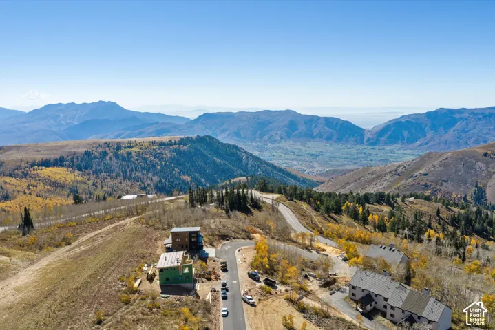 Aerial perspective of mountainous terrain featuring pine forests, deciduous trees, and expansive valley topography