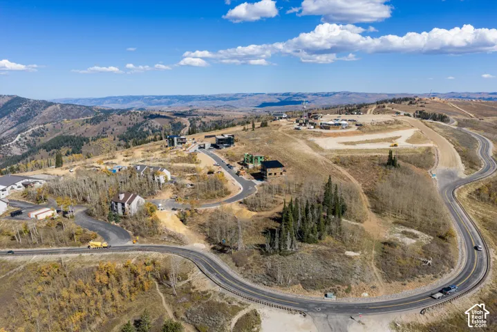 Aerial perspective of mountainous terrain featuring paved winding roads, clusters of evergreen trees, native vegetation, and expansive natural landscape