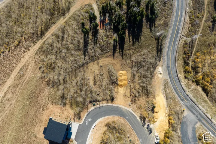 Aerial perspective of a sloping lot featuring native vegetation, mature evergreen trees, and direct access to paved roadway infrastructure