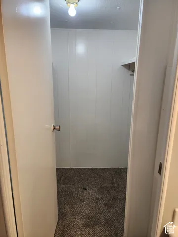 Walk-in storage space featuring vertical paneling, neutral carpeting, and a built-in shelving rod