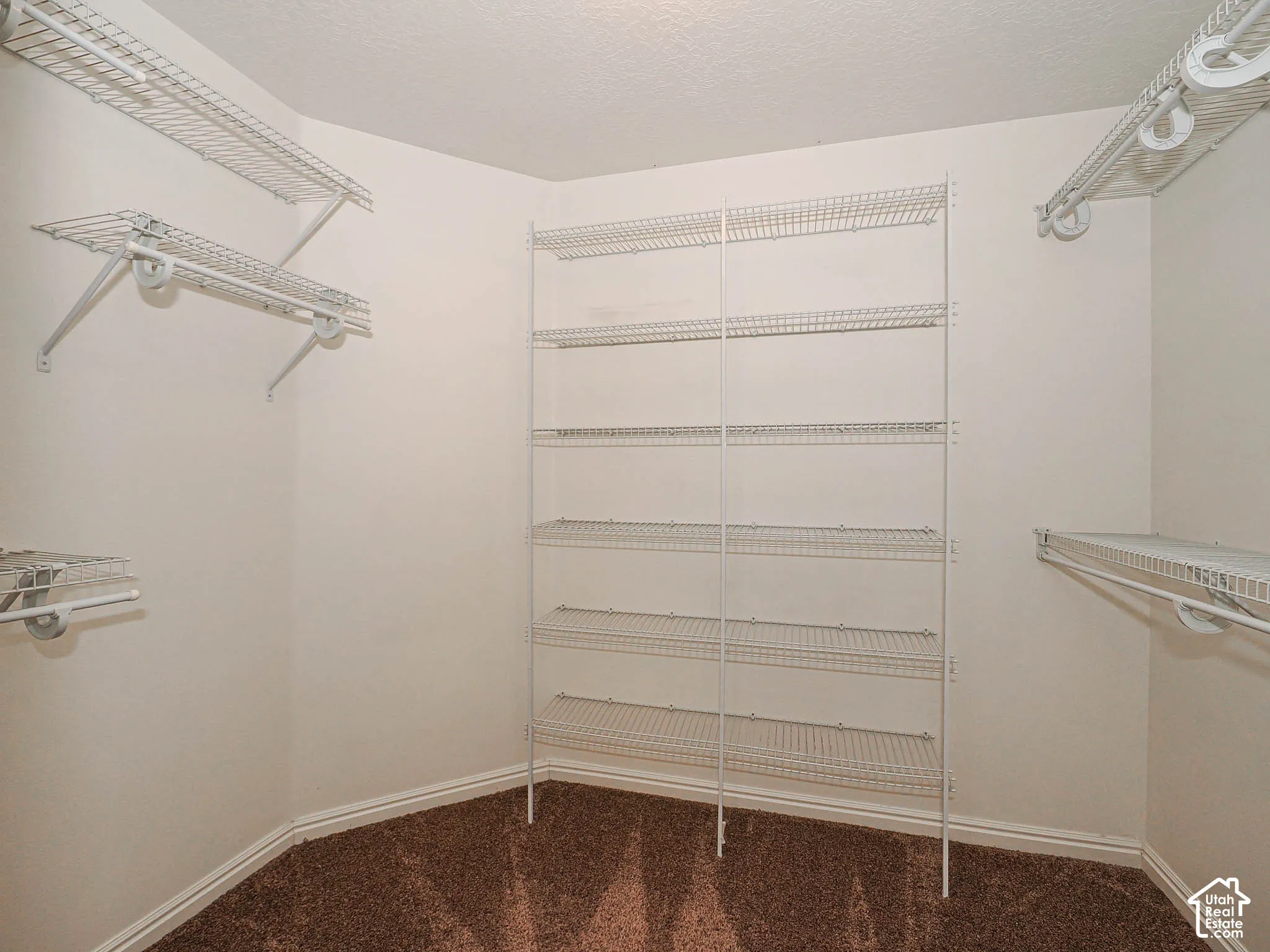 Walk-in closet featuring floor-to-ceiling white wire shelving, wall-mounted racks, and carpeting
