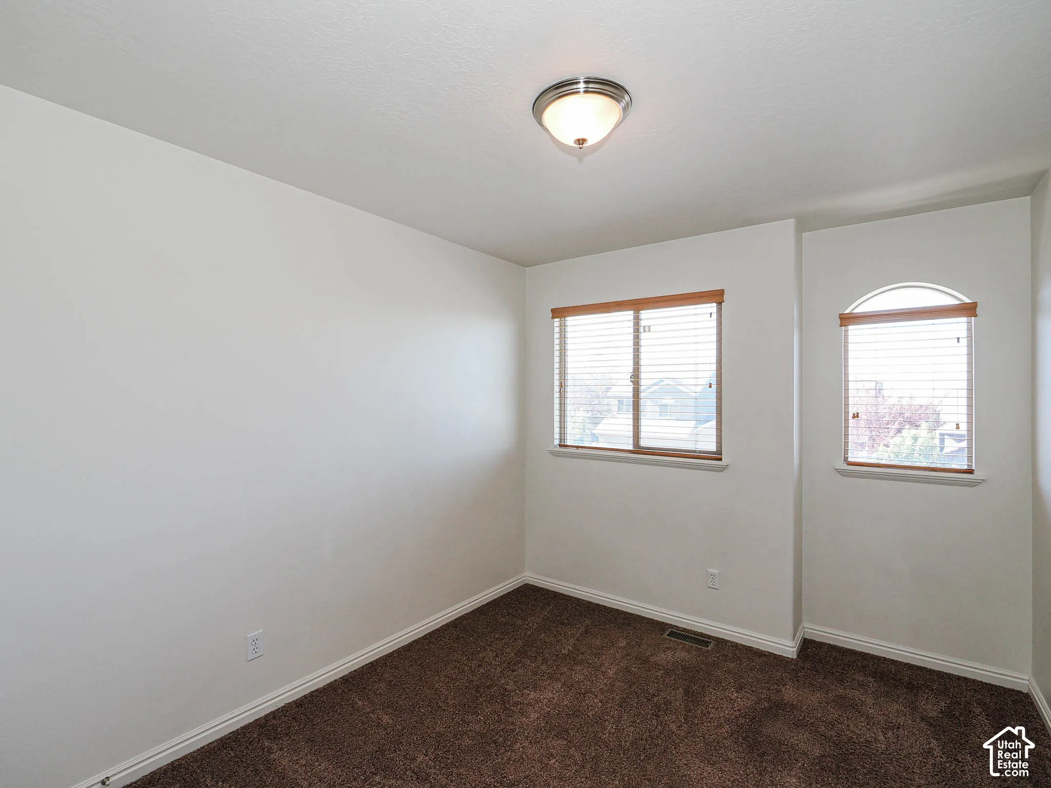 Interior room featuring neutral wall paint, brown carpeting, a flush-mount ceiling light fixture, a standard rectangular window, and an arched window
