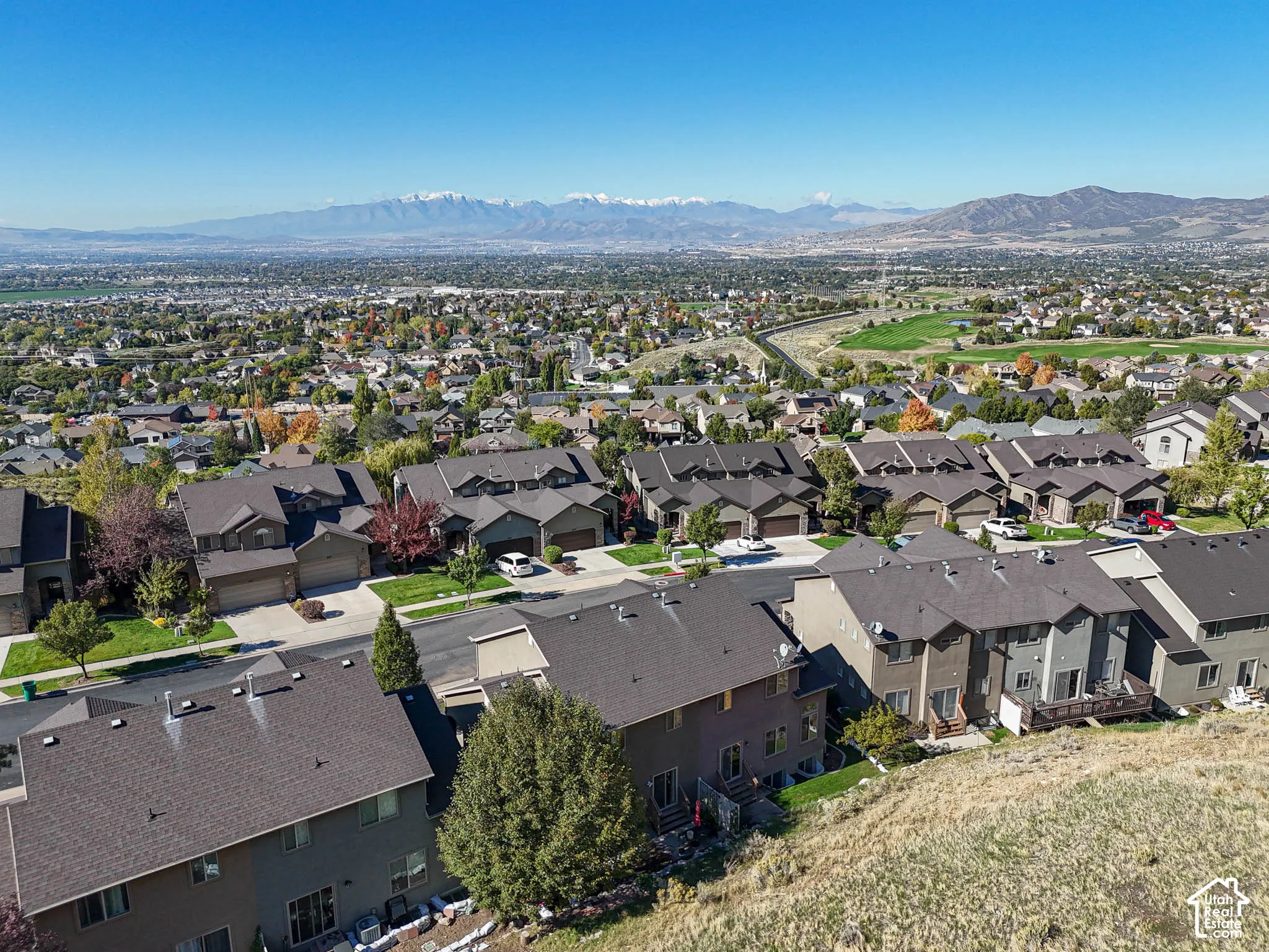 Aerial perspective of the residential area featuring a mountain range backdrop and mature trees