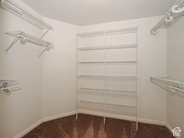 Walk-in closet featuring floor-to-ceiling white wire shelving, wall-mounted racks, and carpeting