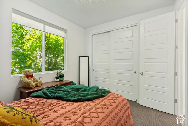 Bedroom featuring neutral wall paint, carpeted flooring, a sliding-door closet, a single-panel interior door, and a large window