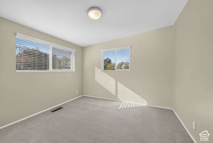 Neutral wall finishes, plush carpeting, multiple windows with integrated blinds, and a central flush-mount ceiling light fixture