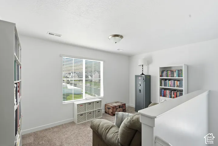 Interior space featuring neutral-toned carpeting, a dual-pane window with horizontal blinds, and a semi-flush mount ceiling light fixture