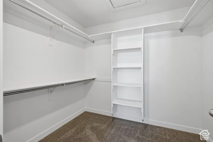 Walk-in closet featuring floor-to-ceiling built-in shelving, multi-level hanging rods, and neutral carpeting