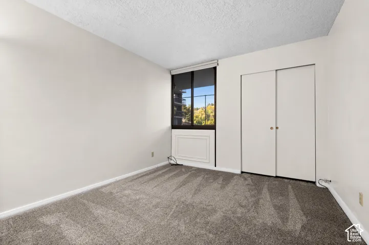 Neutral-toned interior featuring wall-to-wall carpeting, dual-panel sliding closet doors, and floor-to-ceiling window configuration with integrated mechanical casing