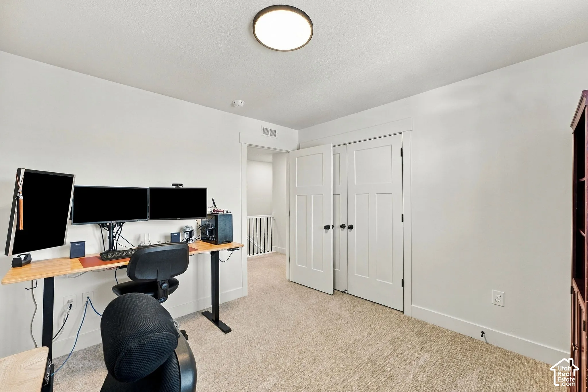 Neutral-toned carpeted flooring, two-panel interior doors with casing trim, and a flush-mount ceiling light fixture