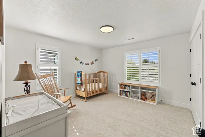 Neutral-toned interior space featuring light-colored wall-to-wall carpeting, dual windows equipped with white plantation-style shutters, and a central ceiling-mounted dome light fixture