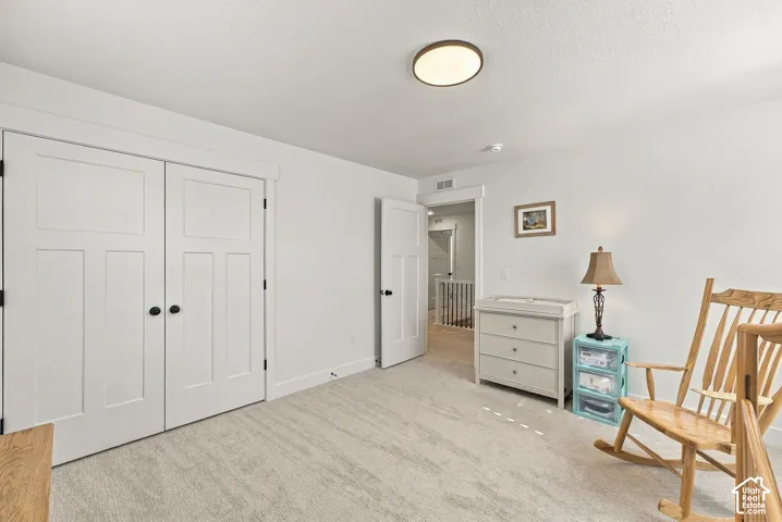 Neutral carpeting, double-door closet with recessed panels, solid-core interior doors with matte black hardware, and flush-mount ceiling lighting